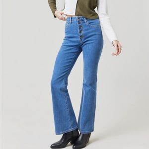 Francesca’s Teresa High Rise Five Button Bootcut Jeans